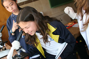 Colegio Alkor - Laboratorio de ciencias