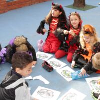 Halloween primaria 2024