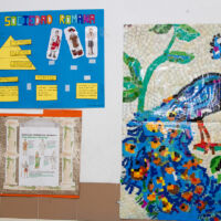 Proyecto Roma