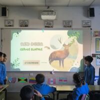 etwinning primaria