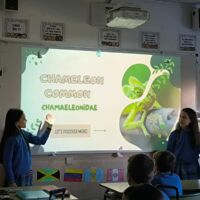 etwinning primaria